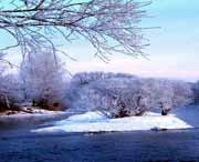 逊克天气预报7天