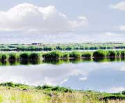 肇州天气预报7天