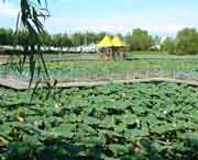 德惠天气预报7天