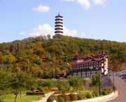 九台天气预报7天