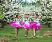 龙井天气预报60天