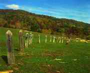 临江天气预报7天