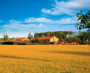 康平天气预报10天