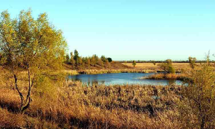 台安天气预报7天