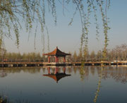 黑山天气预报7天