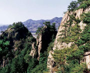 开原天气预报7天