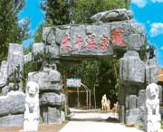 徐水天气预报7天