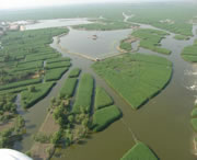 安新天气预报7天