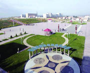 康保天气预报7天