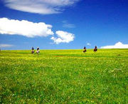 蔚县天气预报7天