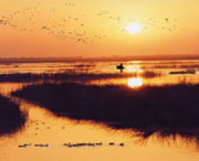 桃城天气预报7天