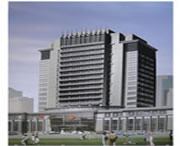 饶阳天气预报7天