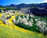 淳化天气预报7天