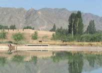 横山天气预报10天