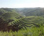 米脂天气预报7天