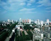 勉县天气预报40天