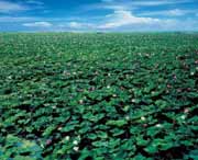 微山天气预报7天