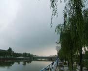 鱼台天气预报7天