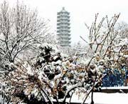 苍山天气预报7天