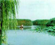 滨州天气预报7天