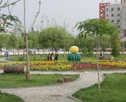 和田天气预报7天