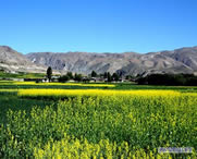 尼木天气预报40天