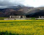 拉孜天气预报7天