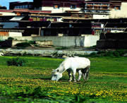 山南天气预报7天