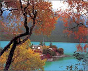 林芝天气预报7天