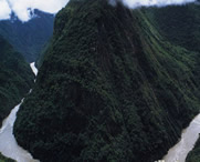 米林天气预报7天