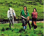 安多天气预报7天