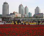 西宁天气预报7天