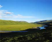 泽库天气预报7天