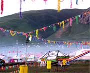 曲麻莱天气预报7天