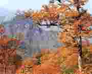 武山天气预报7天