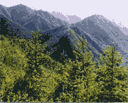 西和天气预报60天