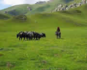 甘南州天气预报7天