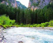 卓尼天气预报7天