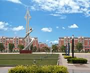 延津天气预报7天