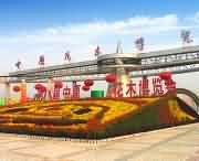 鄢陵天气预报7天