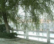 商城天气预报7天