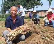 温县天气预报7天