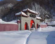 新洲天气预报7天