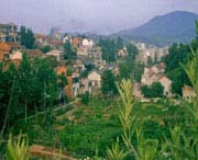 大悟天气预报7天