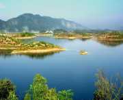 阳新天气预报7天