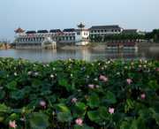 洪湖天气预报7天