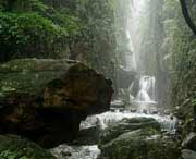 广水天气预报7天