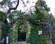 临安天气预报7天