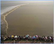 海宁天气预报7天