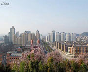 慈溪天气预报7天